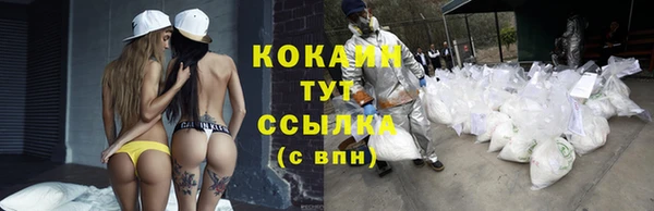 прущие грибы Беломорск
