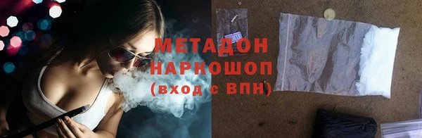 прущие грибы Беломорск