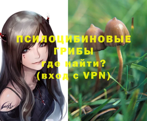 экстази Белокуриха