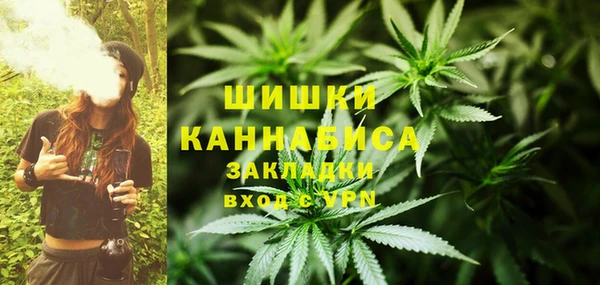 прущие грибы Беломорск