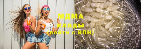 индика Богданович