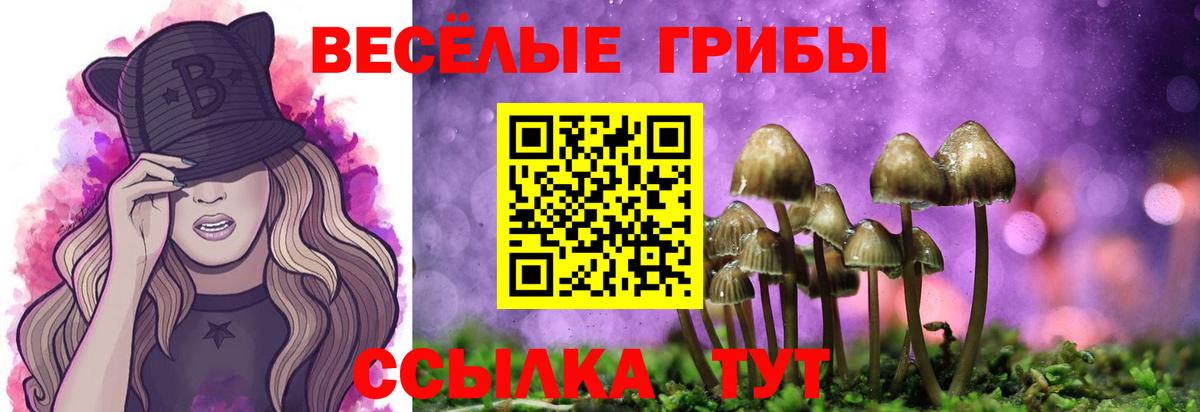 Галлюциногенные грибы GOLDEN TEACHER Острогожск